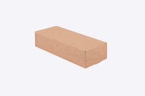 Papier-Sushi-Box mit Fenster 22x9x5 cm (200 Stück) (1)